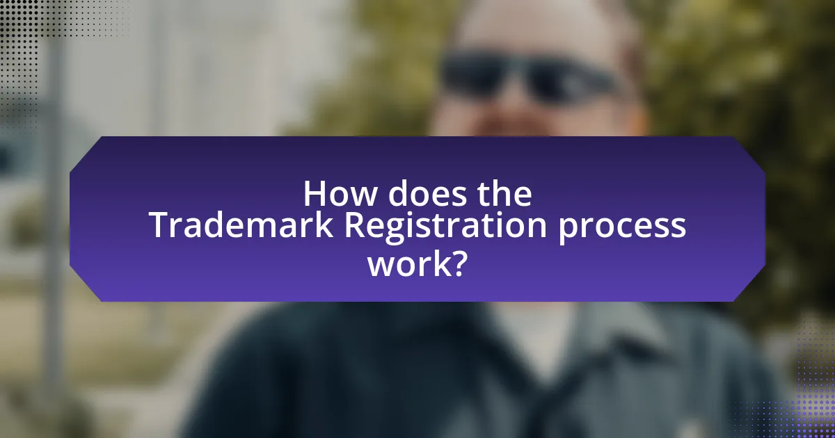 How does the Trademark Registration process work?
