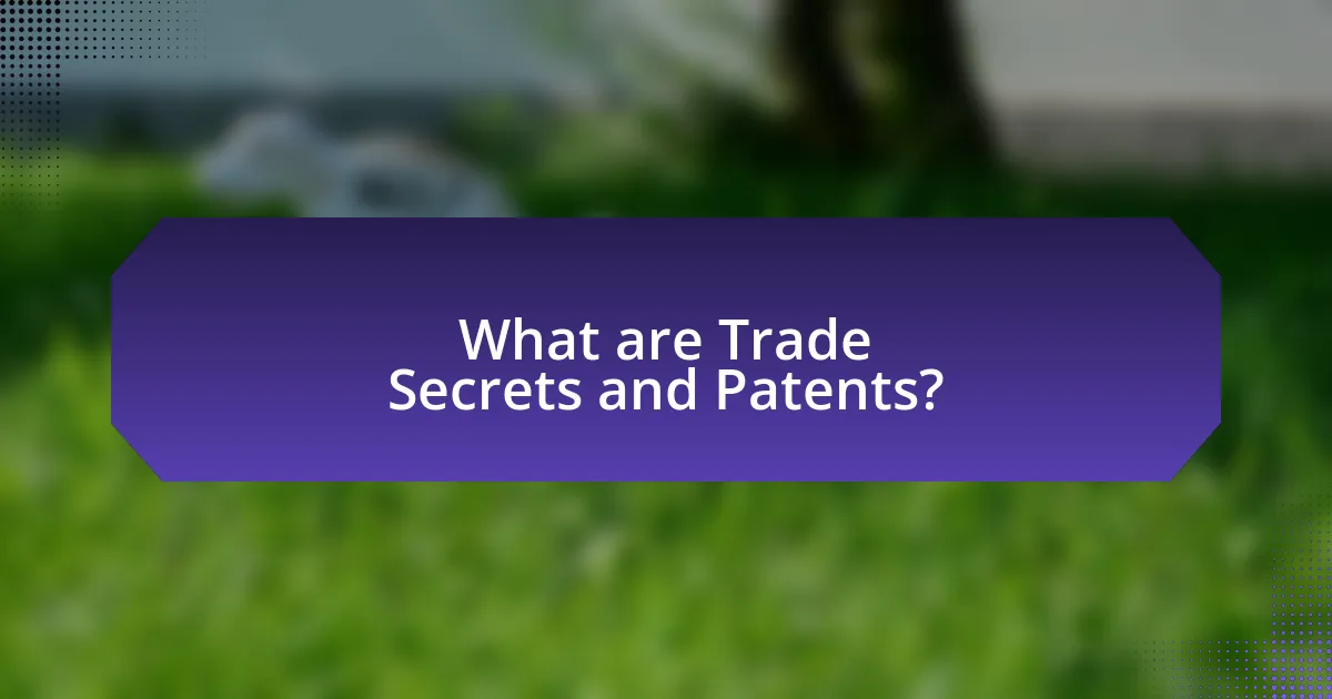 What are Trade Secrets and Patents?