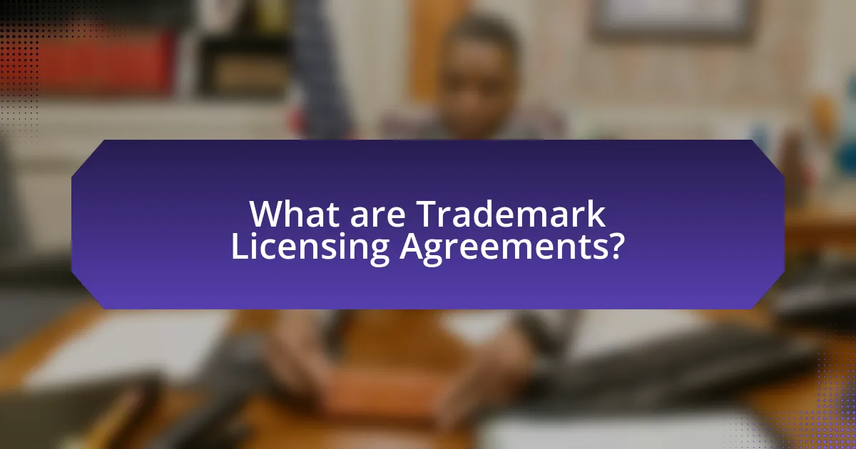 What are Trademark Licensing Agreements?