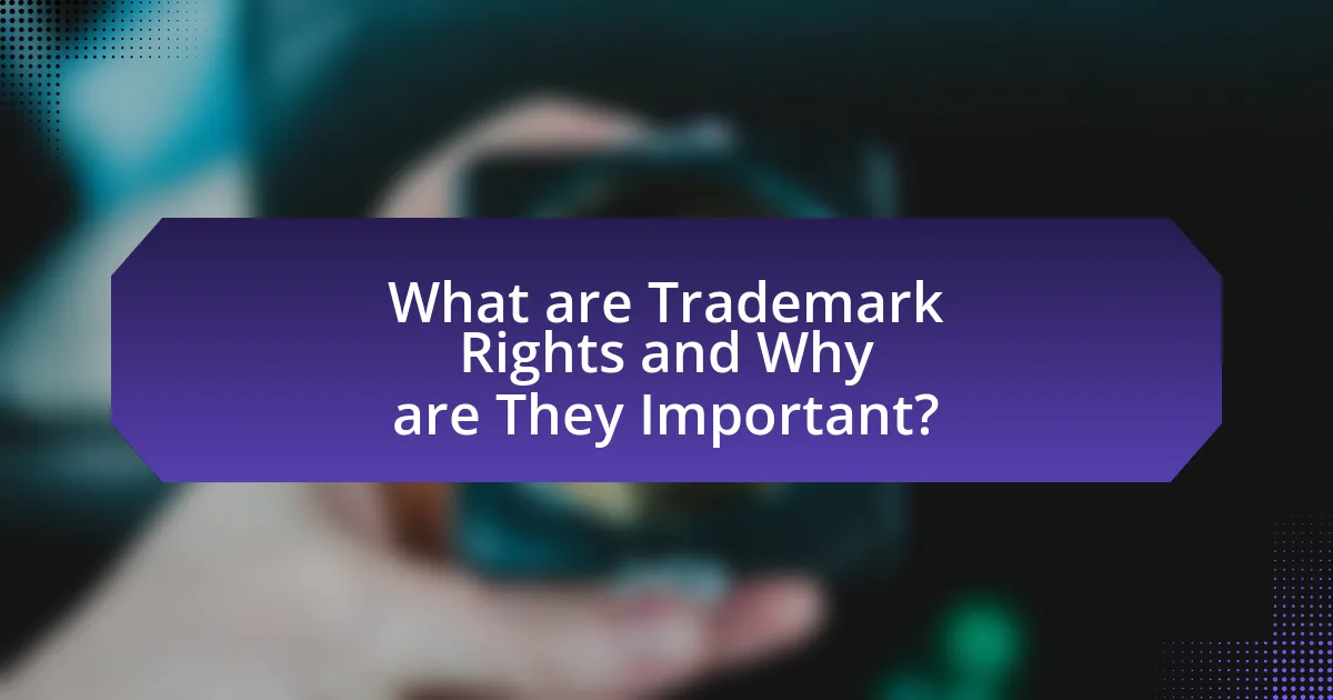 What are Trademark Rights and Why are They Important?