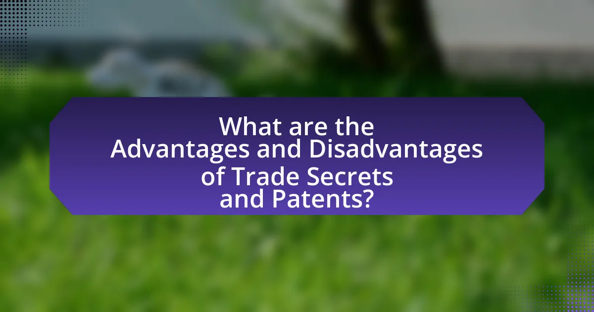 What are the Advantages and Disadvantages of Trade Secrets and Patents?