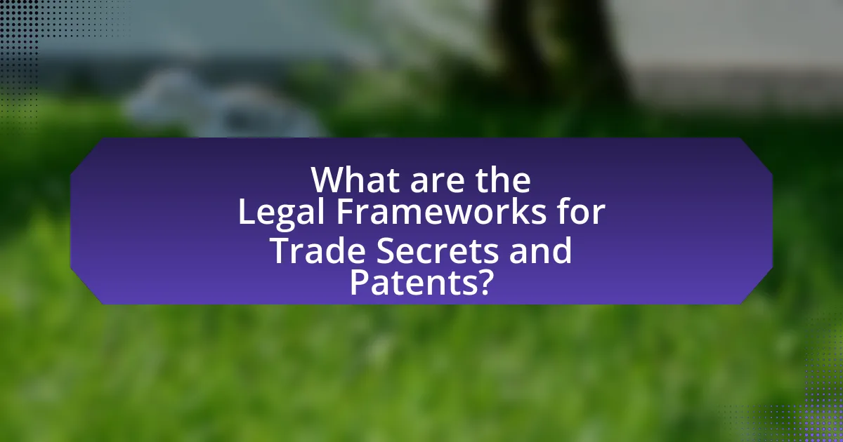 What are the Legal Frameworks for Trade Secrets and Patents?