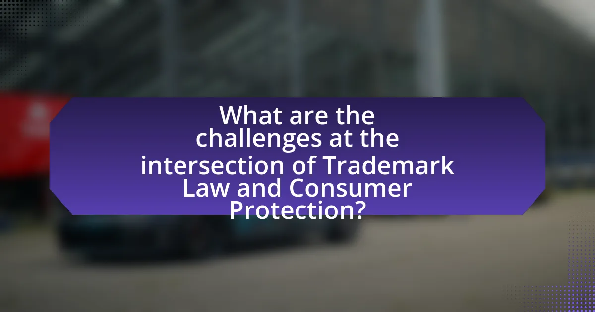 What are the challenges at the intersection of Trademark Law and Consumer Protection?