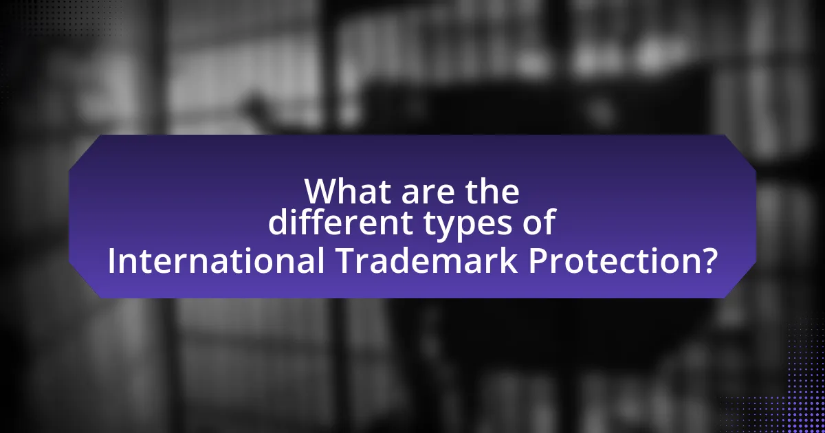 What are the different types of International Trademark Protection?