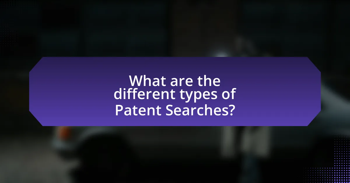 What are the different types of Patent Searches?