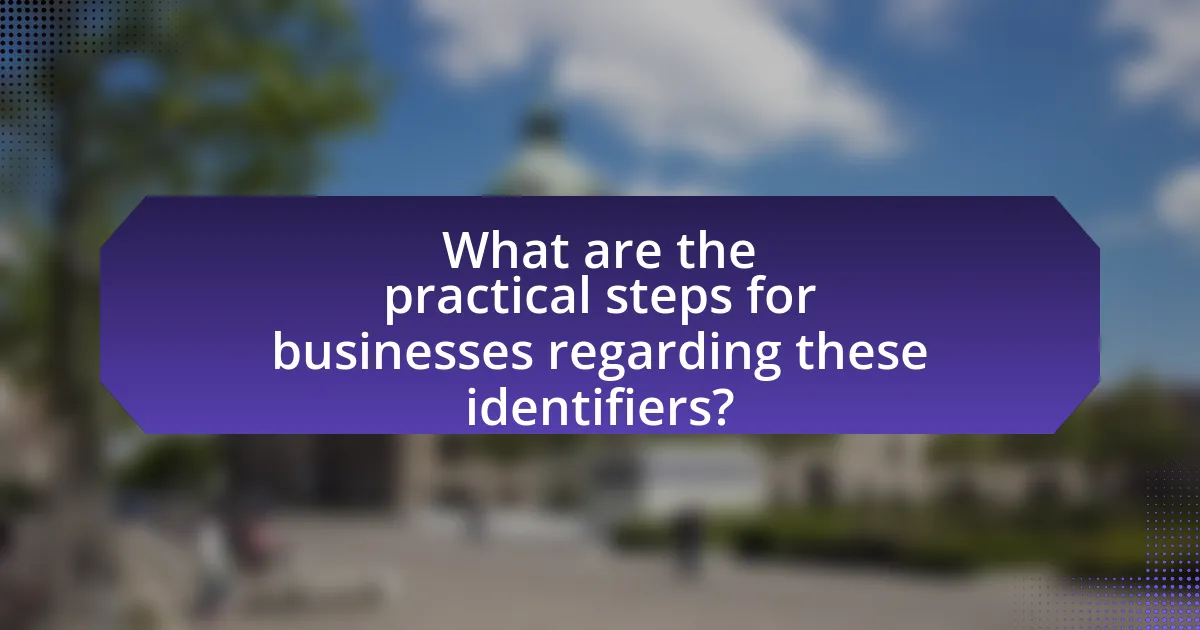 What are the practical steps for businesses regarding these identifiers?