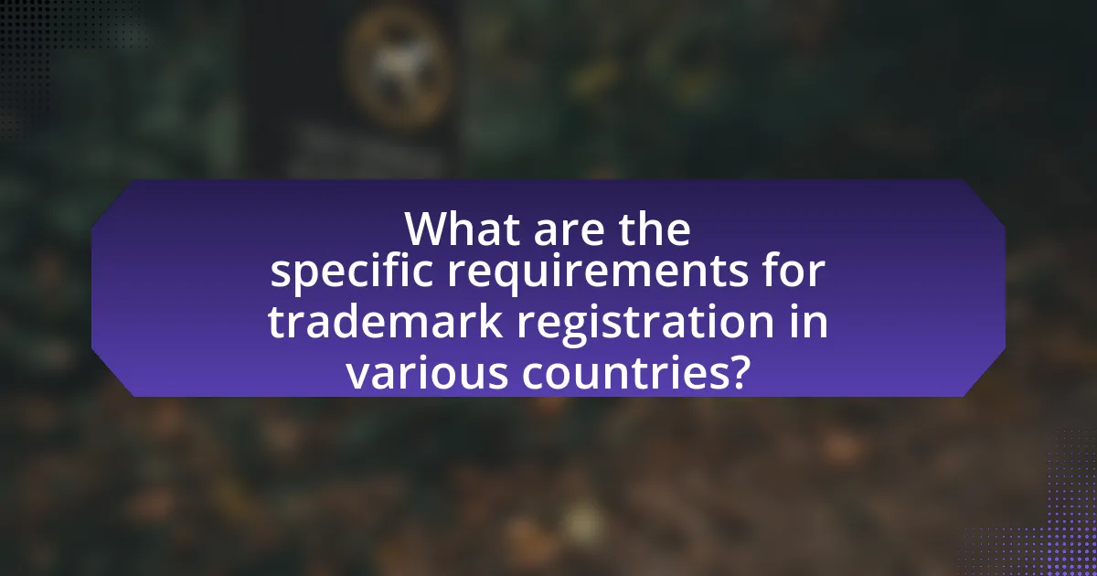 What are the specific requirements for trademark registration in various countries?