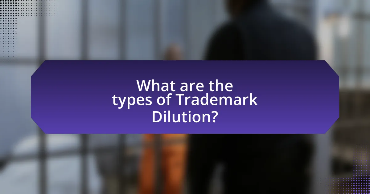 What are the types of Trademark Dilution?