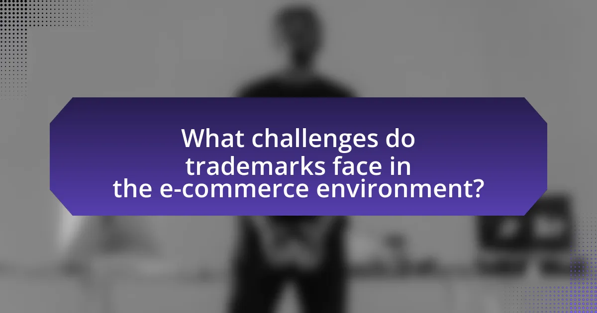 What challenges do trademarks face in the e-commerce environment?