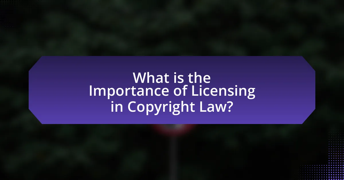 What is the Importance of Licensing in Copyright Law?