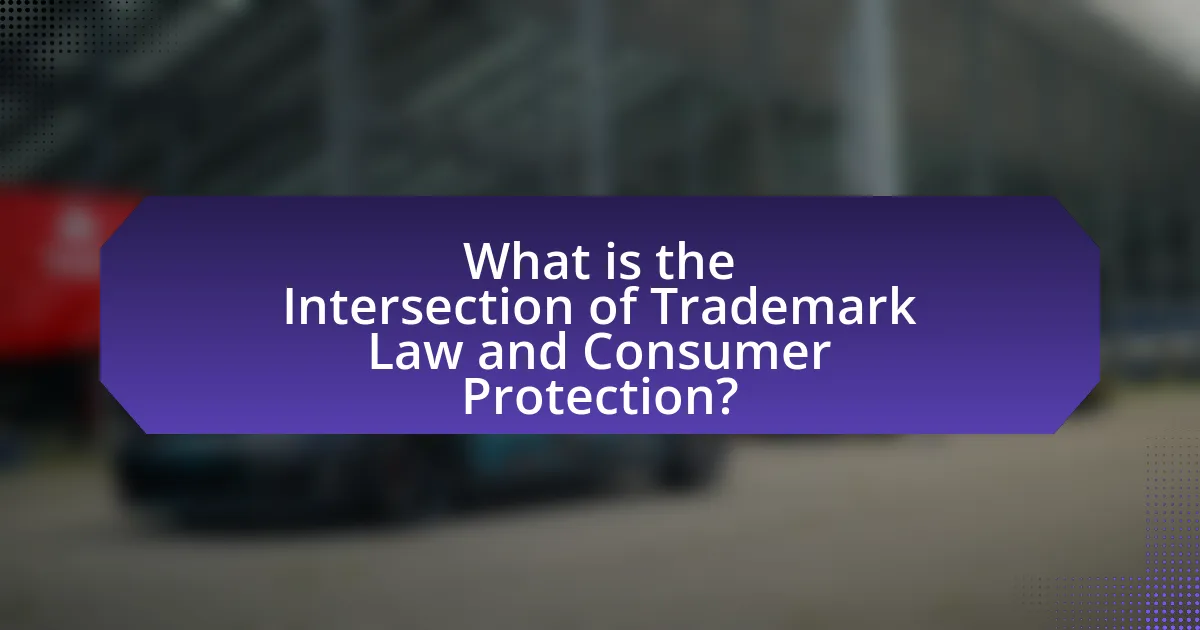 What is the Intersection of Trademark Law and Consumer Protection?