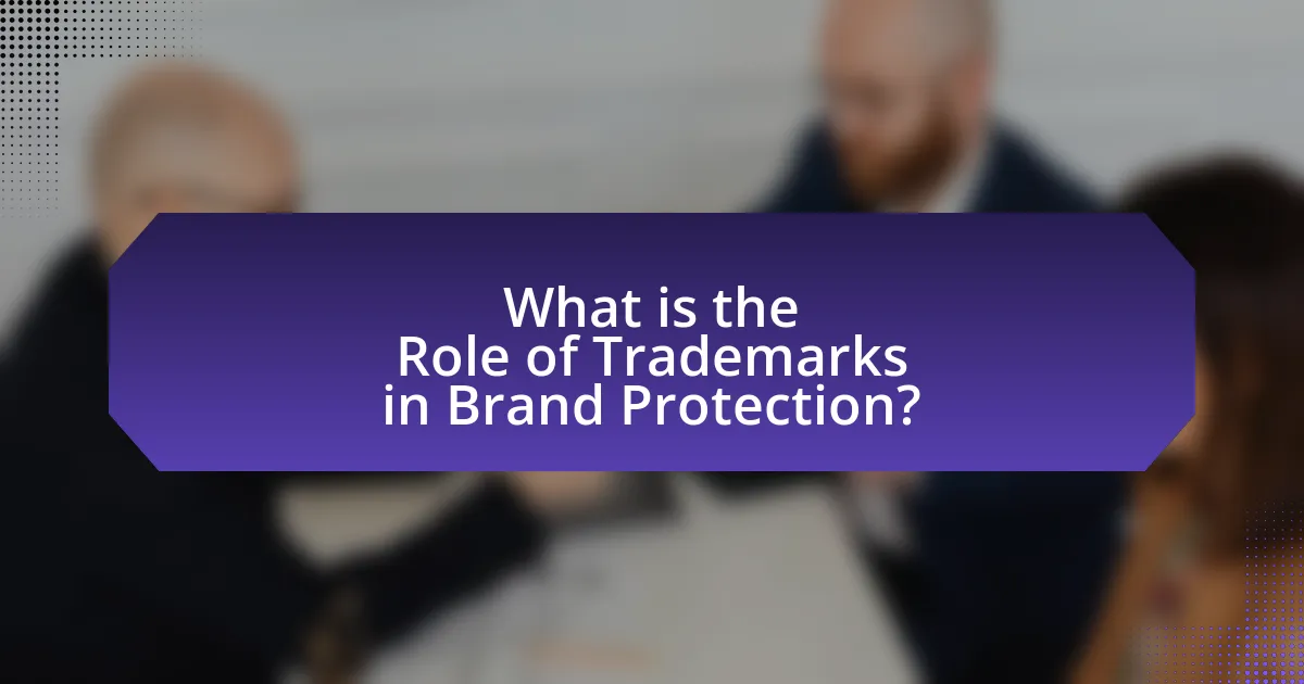 What is the Role of Trademarks in Brand Protection?